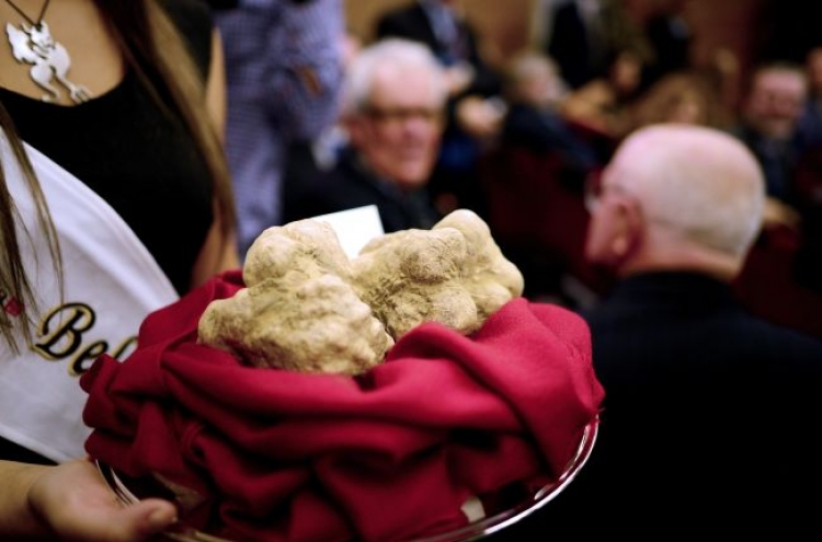 White truffles fetch three times the price of gold at auction