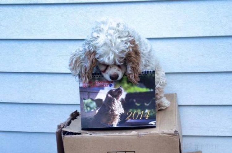 Calendar sale helps dog sanctuary