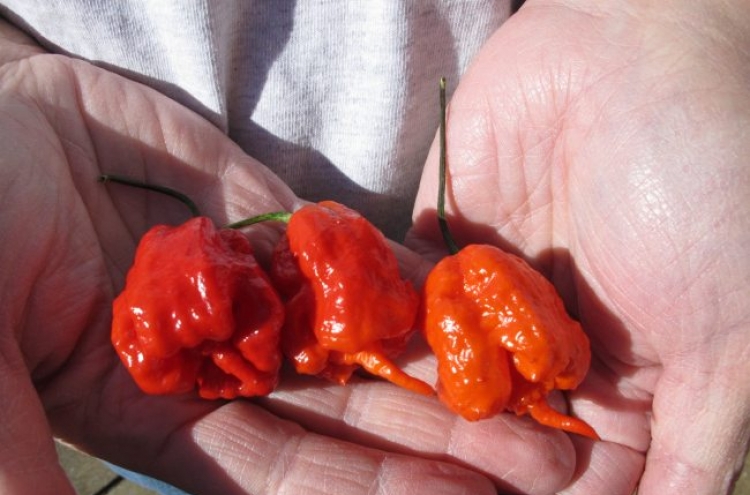 World’s hottest pepper is grown in U.S.