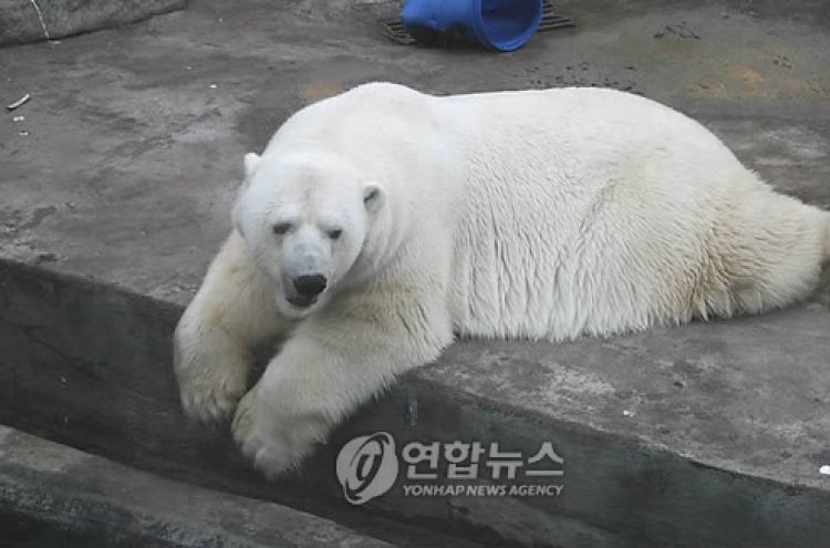 북미 한파에 동물원 북극곰도 덜덜덜