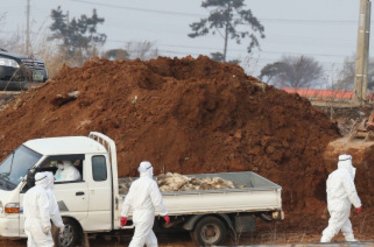 S. Korea confirms bird flu in migratory birds