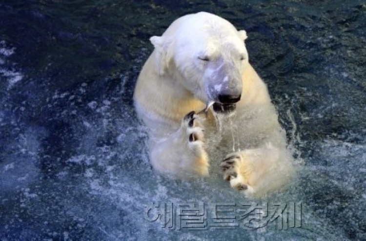 화나면 무서운 동물들 "귀요미는 어디 가고"