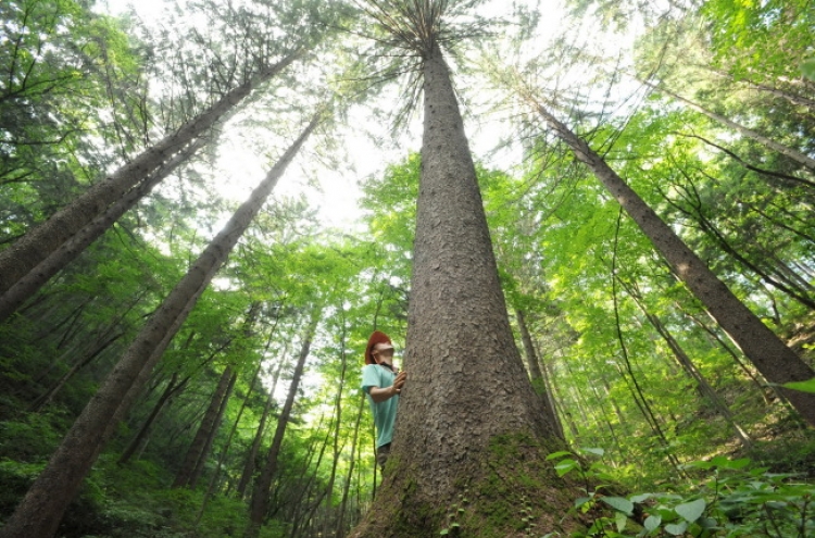 [Weekender] Plant trees for the future