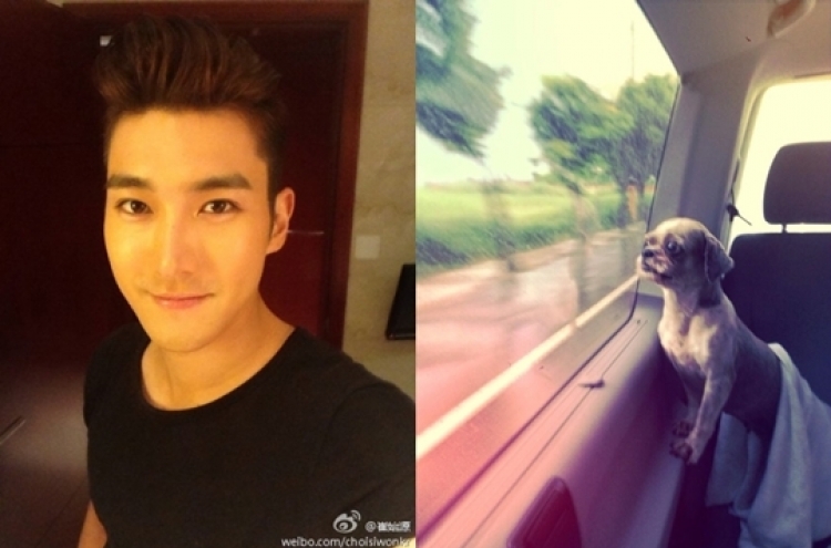 Choi Si-won rescues stray dog