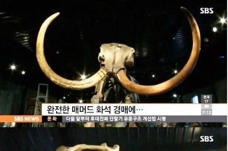 거대 매머드 화석 경매 “압도적 크기…6톤 무게”