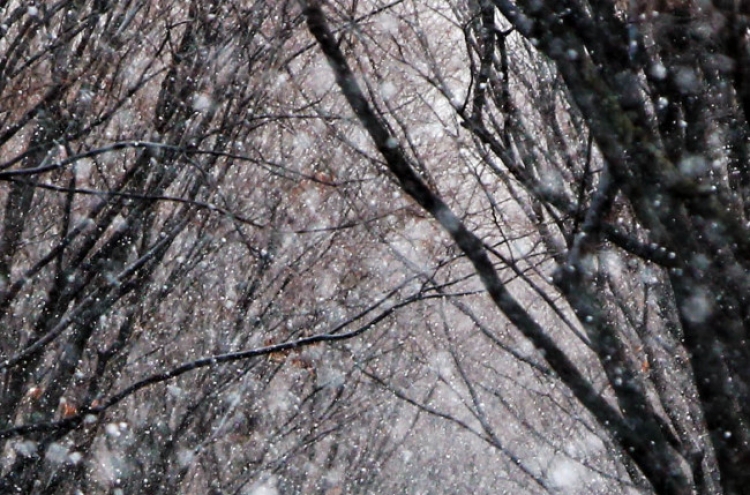 (Photo News) Snowfall in park