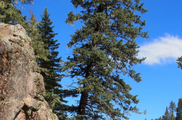 Hike, soak in a natural hot spring in New Mexico’s funky Jemez area