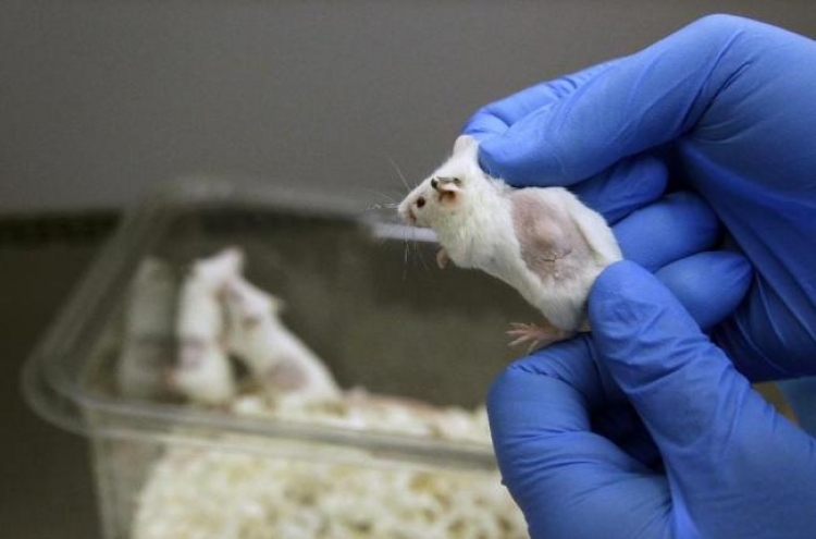 Cancer patients testing drugs on mouse ‘avatars’