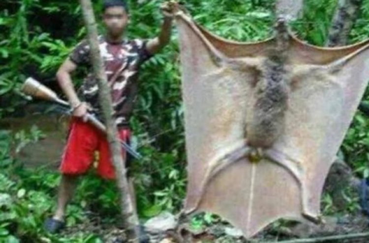 화제의 거대 박쥐 사진 공개에 '일파만파'
