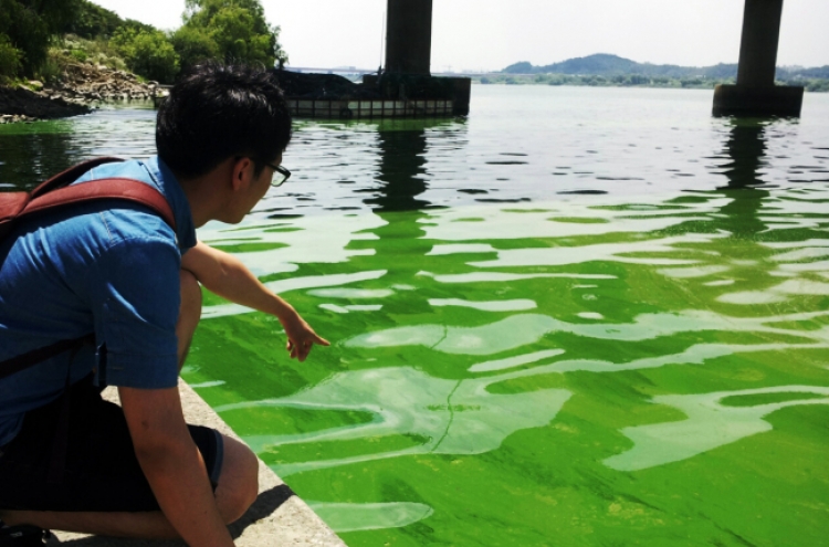 Hangang weir blamed as key culprit for green tide