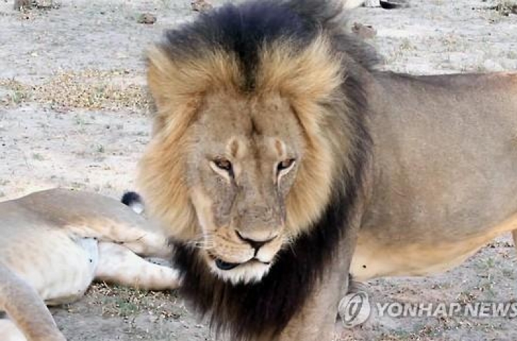 '세실' 살던 황게국립공원서 사자 공격으로 여행가이드 사망