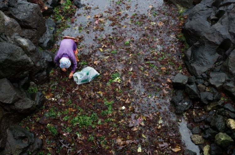 Japan to double imports of Korean-made dried seaweed