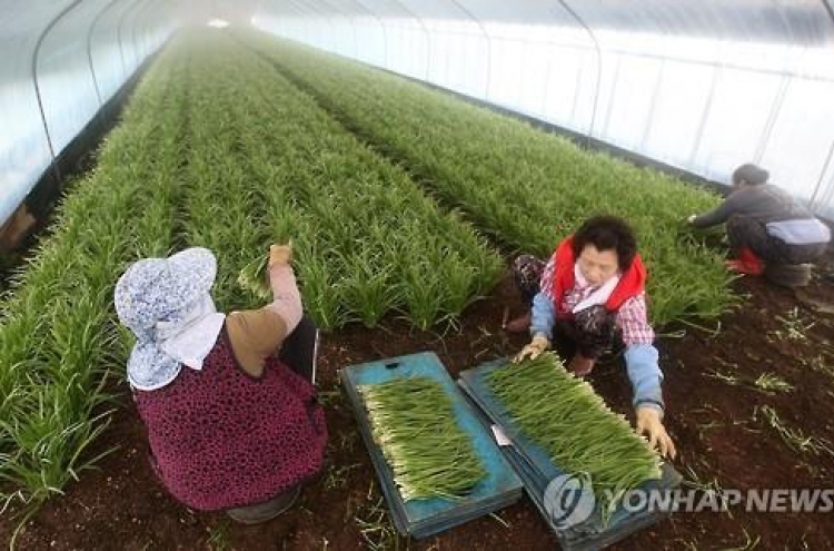 축산·청과물값 상승...농가살림 3년만에 나아졌다