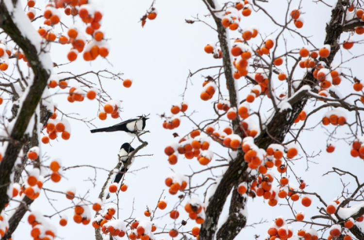 Changing face of Lunar New Year holiday in Korea