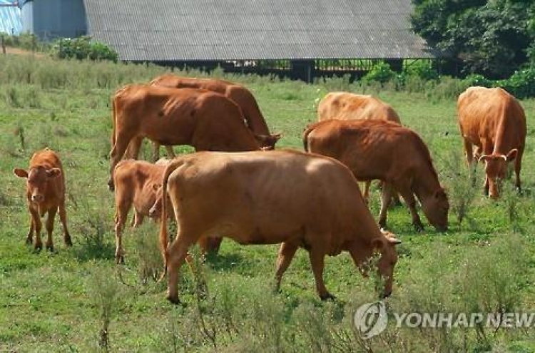 Falling number of Korean cattle raises price worries