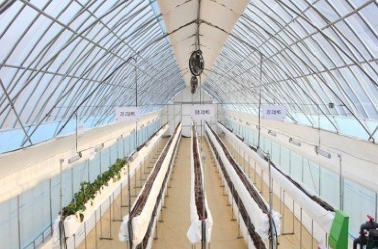 Science Farm to enter African and Asian markets with its smart crop cultivation technology