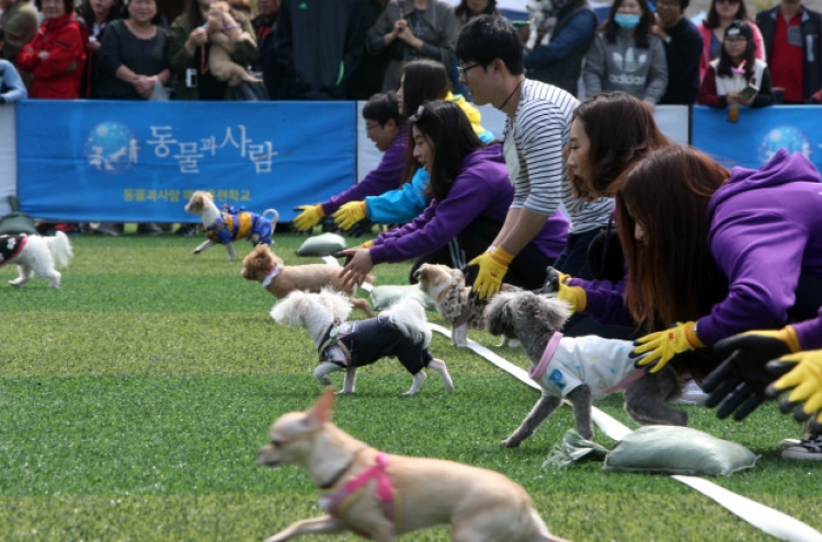 Korea strives to ensure animal rights