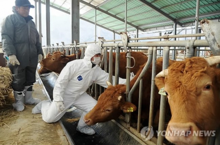 Over 40% of local cow farms closed since KORUS FTA: report