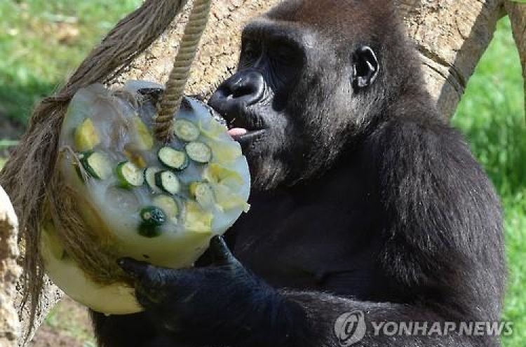 지구촌, 무자비한 불볕더위에 '헉헉'…중국 40도·이라크 50도