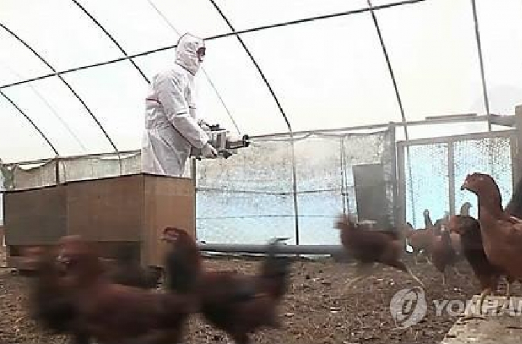 Korea to declare itself bird flu-free this week