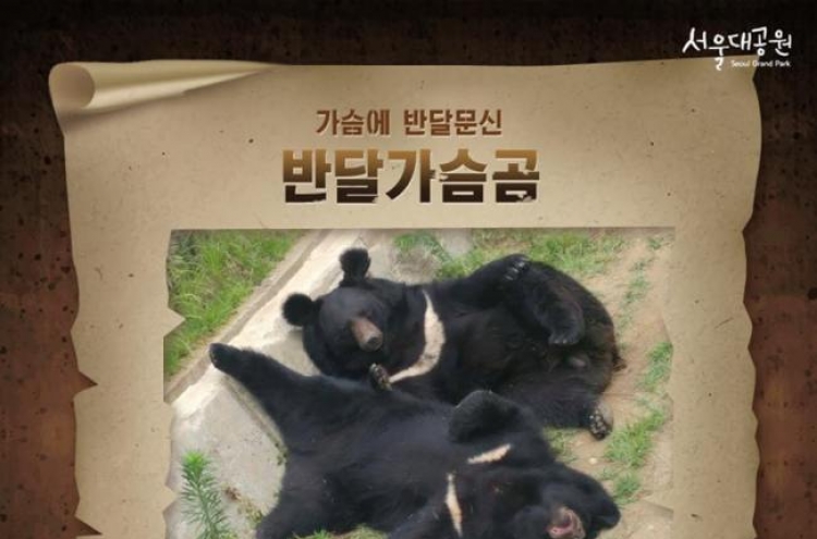 99년 평양에서 온 반달가슴곰 숨져…"20살 추정"