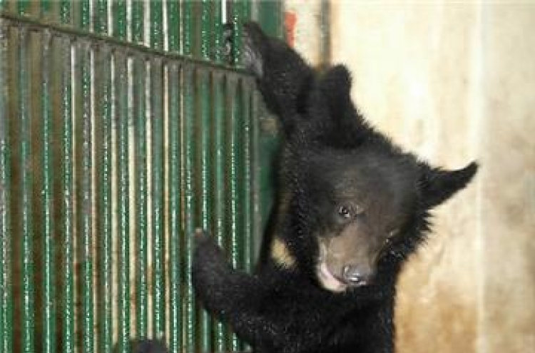 Asiatic black bear from N. Korea on 1st animal exchange program dies