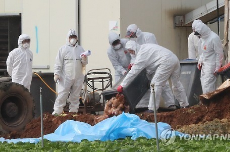 Korea reports 2 additional highly pathogenic bird flu cases