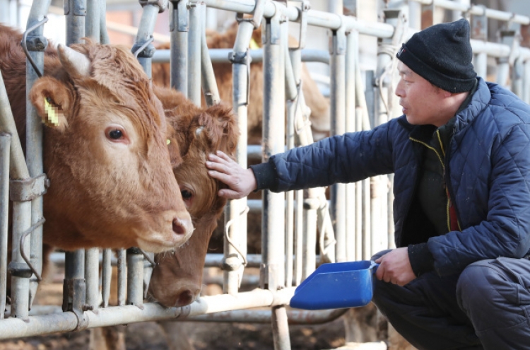 Foot-and-mouth feared to spread to pigs