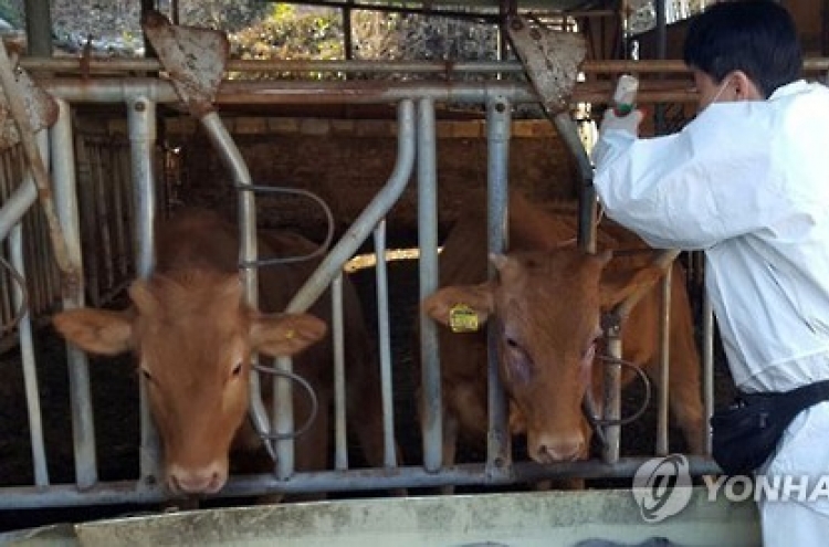 Fifth foot-and-mouth disease case confirmed in S. Korea