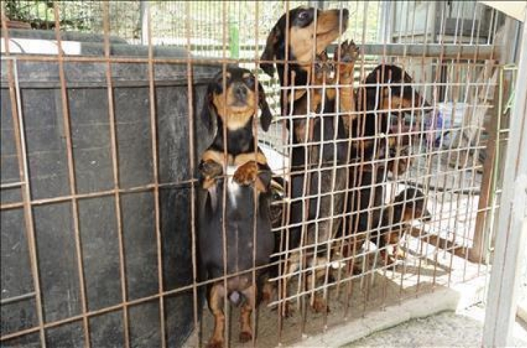 Parliament passes law requiring license for 'pet dog factories'