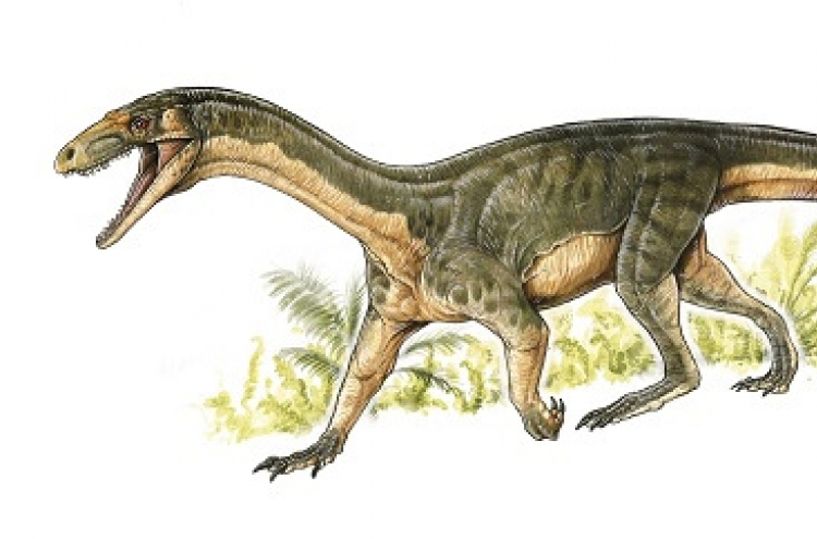 Dino ancestors looked like crocodiles: study