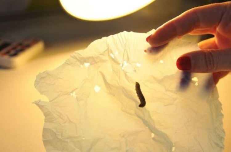 플라스틱 먹는 애벌레 발견...‘특허 출원’