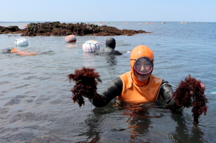 Jeju’s female diving culture gets heritage listing