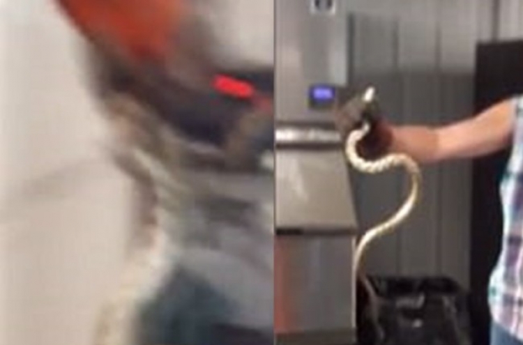 (영상) 자판기 눌렀는데 음료수 대신 뱀이 나와