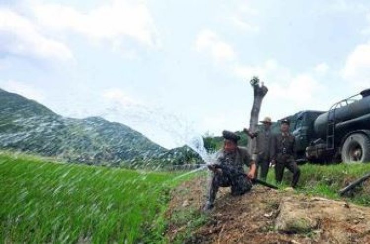 Major breadbasket in NK suffers severe drought