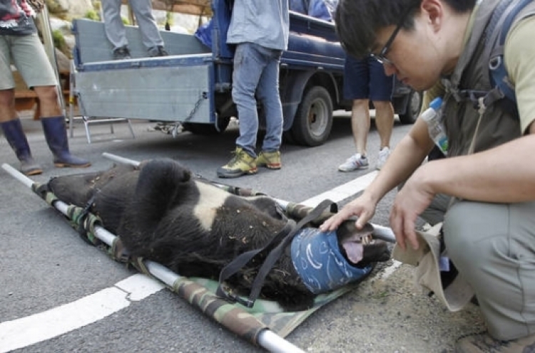 Activists, authorities clash over KM-53 bear