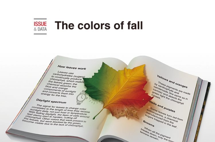[Graphic News] The colors of fall