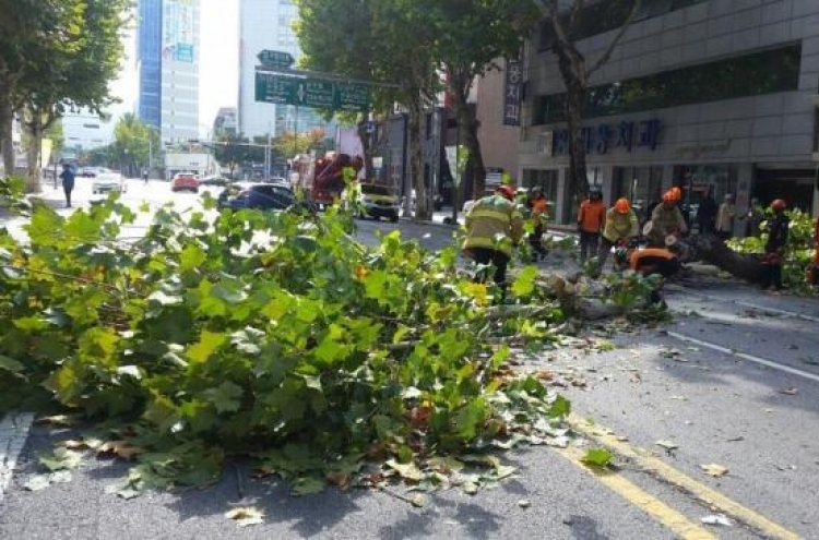 Weather warning issued as typhoon approaches