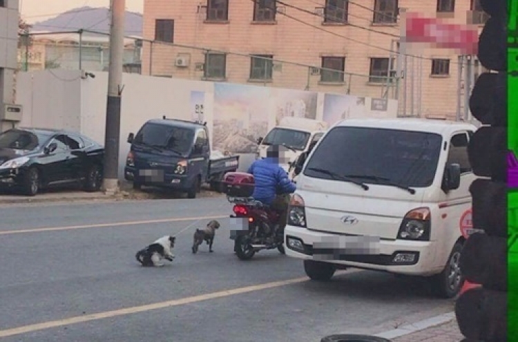 Man drags pet dogs behind motorcycle