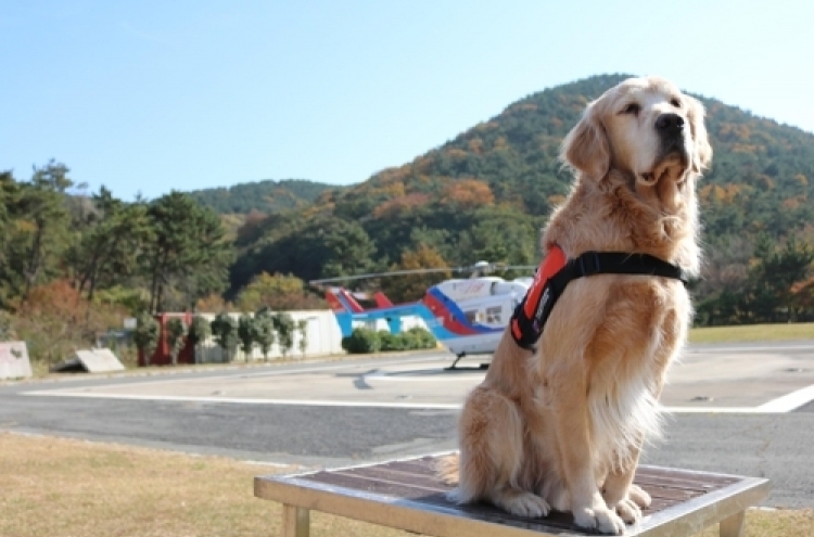 Rescue dog ‘Cheondoong’ retires after saving 12 lives