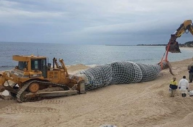 해변에 나타난 거대 사체... 중장비 동원