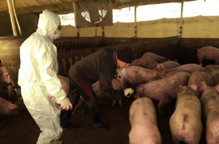 Korea confirms foot-and-mouth disease at pig farm