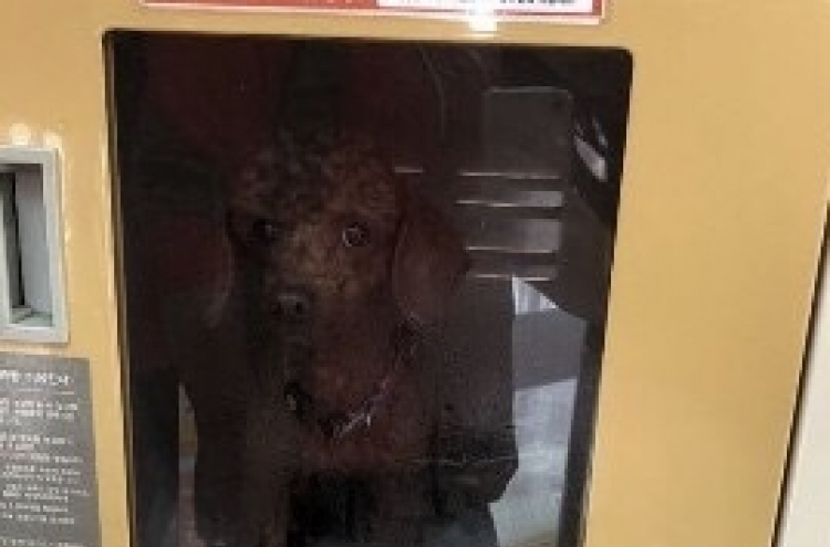 Abandoned dog in mart locker invites public fury