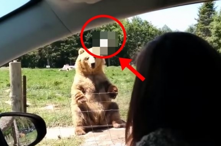 불곰에게 OO 던져준 女… ‘반전’ 결과