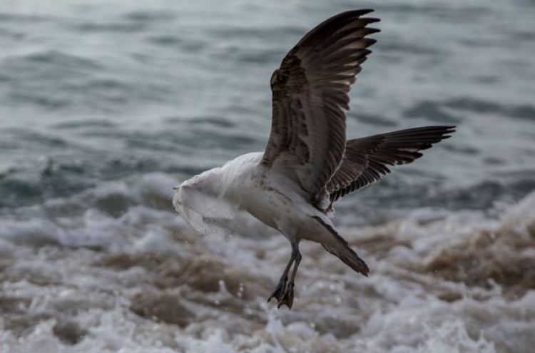 [Newsmaker] New Zealand to ban single-use plastic bags