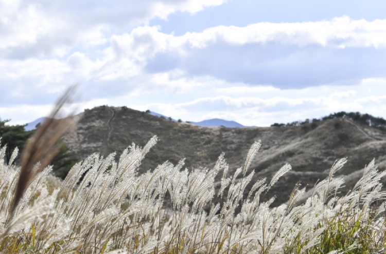 [Weather] Wednesday to be mostly sunny with some rain