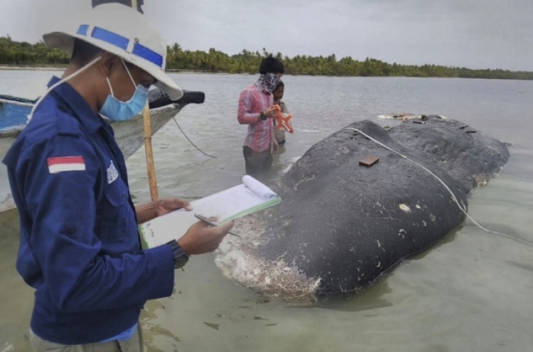 Dead whale had 115 plastic cups, 2 flip-flops in its stomach