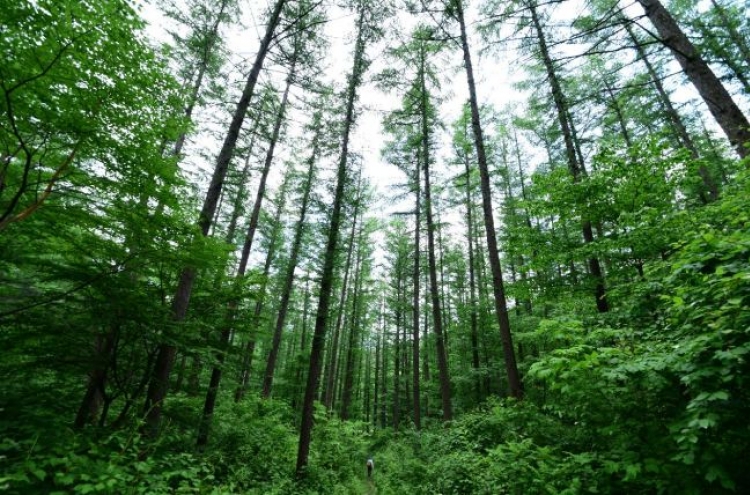 Majority Koreans recognize forests' role in improving life: survey