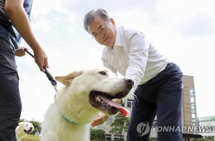 Moon distributes puppies of Pungsan dogs gifted by N.K. leader