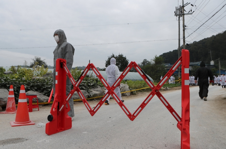 Trace of African swine fever found in dead wild boar in DMZ